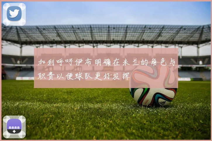 加利呼吁伊布明确在米兰的角色与职责以便球队更好发挥